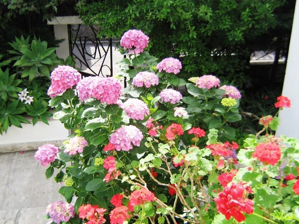 B&B Il Giardino Di Villa Anna Trecase Екстериор снимка