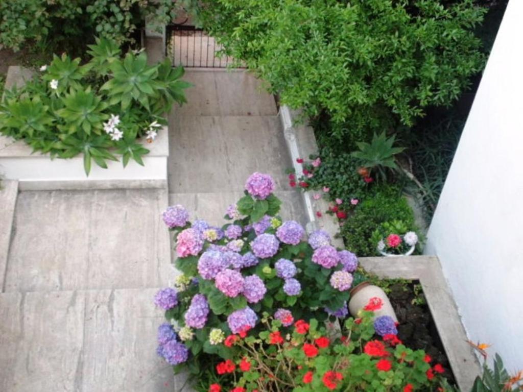 B&B Il Giardino Di Villa Anna Trecase Екстериор снимка
