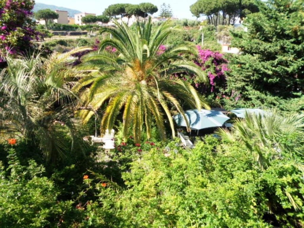 B&B Il Giardino Di Villa Anna Trecase Екстериор снимка
