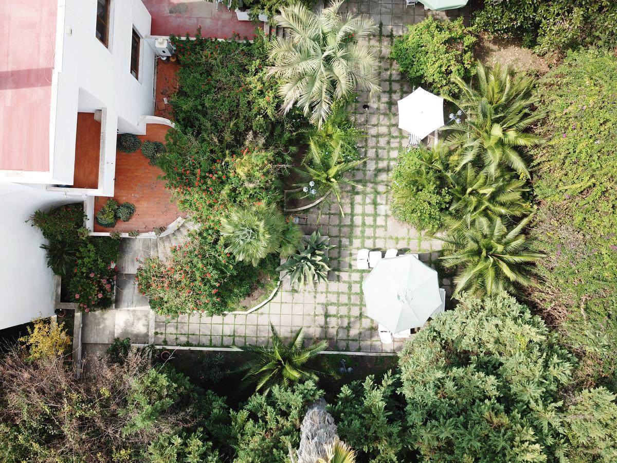 B&B Il Giardino Di Villa Anna Trecase Екстериор снимка