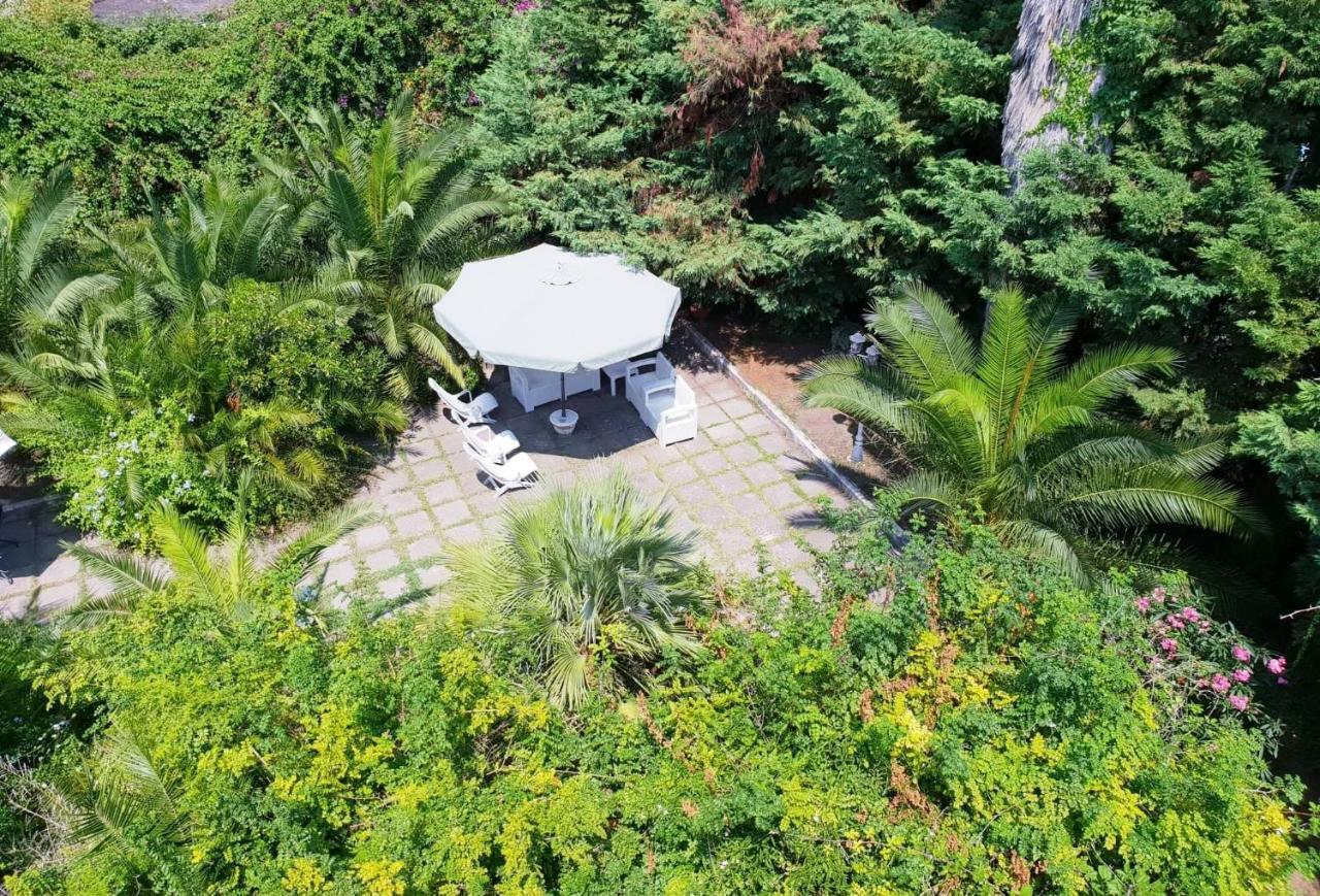 B&B Il Giardino Di Villa Anna Trecase Екстериор снимка