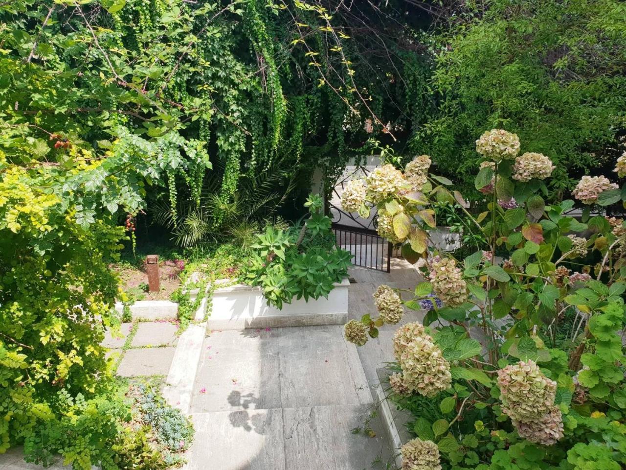 B&B Il Giardino Di Villa Anna Trecase Екстериор снимка
