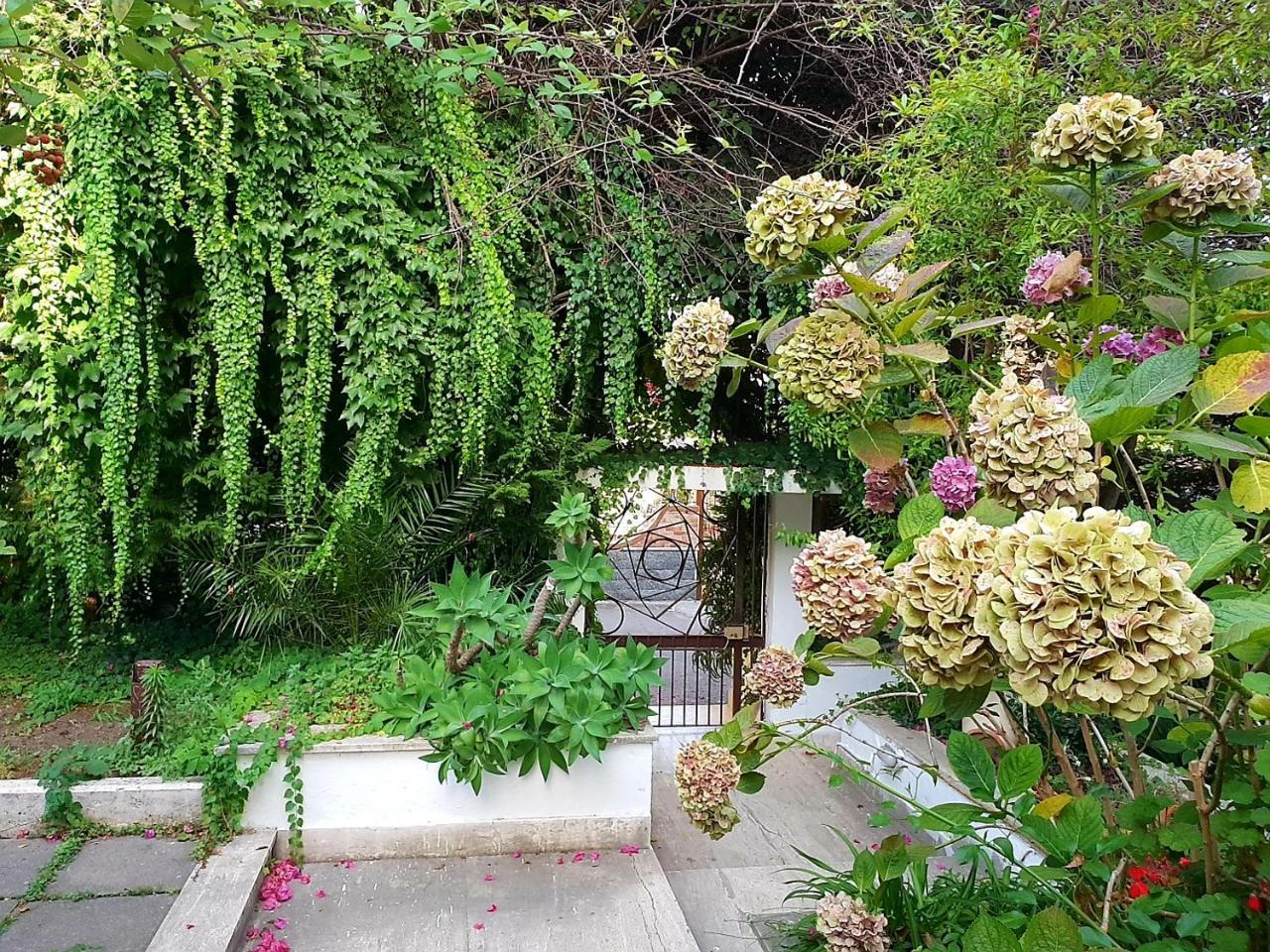 B&B Il Giardino Di Villa Anna Trecase Екстериор снимка