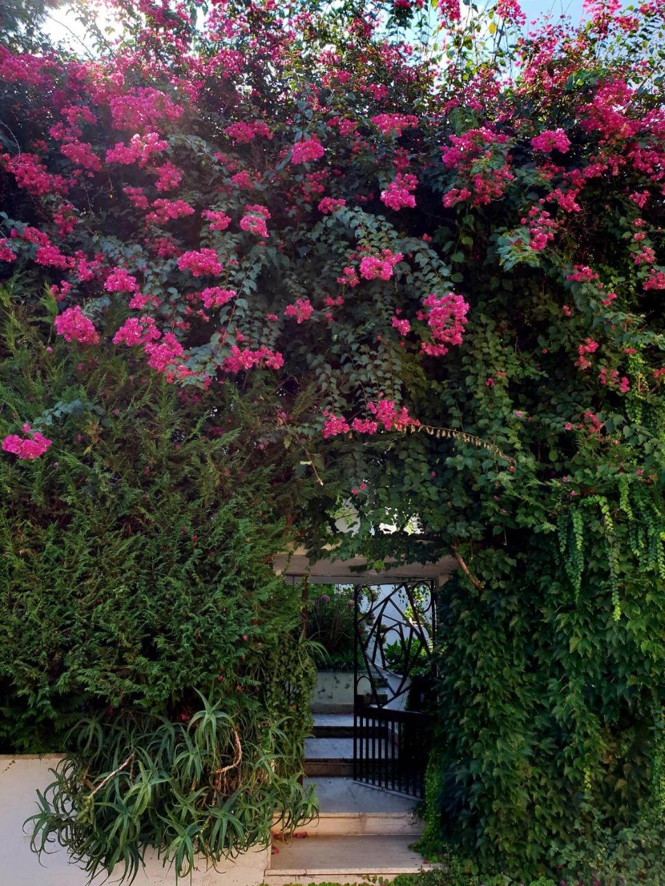B&B Il Giardino Di Villa Anna Trecase Екстериор снимка