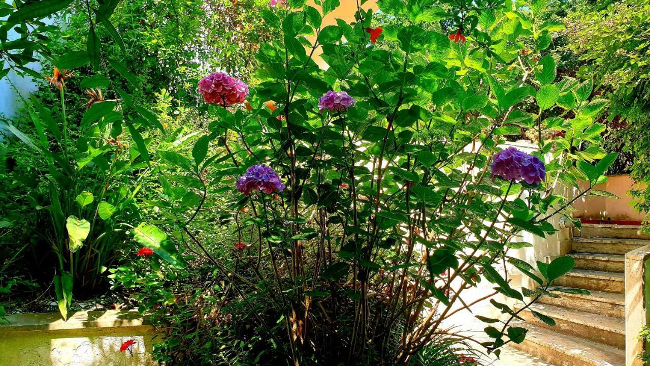 B&B Il Giardino Di Villa Anna Trecase Екстериор снимка