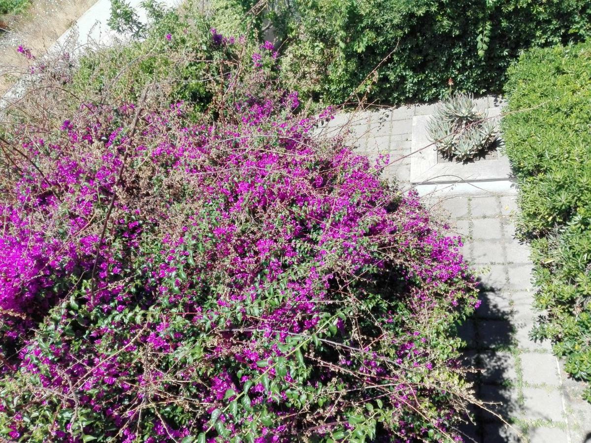 B&B Il Giardino Di Villa Anna Trecase Екстериор снимка